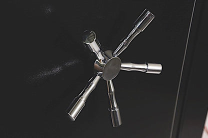 Surelock Security Lieutenant 25-Gun & Home Safe 60 Minute Fire Rated SRL3418952